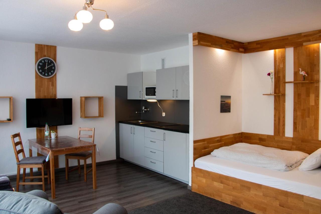 Lupartment Aparthotel Ludwigshafen am Rhein Buitenkant foto